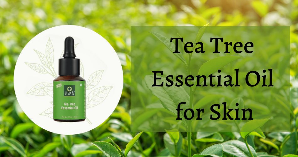 Benefits of Tea Tree Oil for Skin