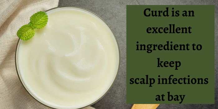 How to Remove Dandruff - Curd to Get Rid of Dandruff